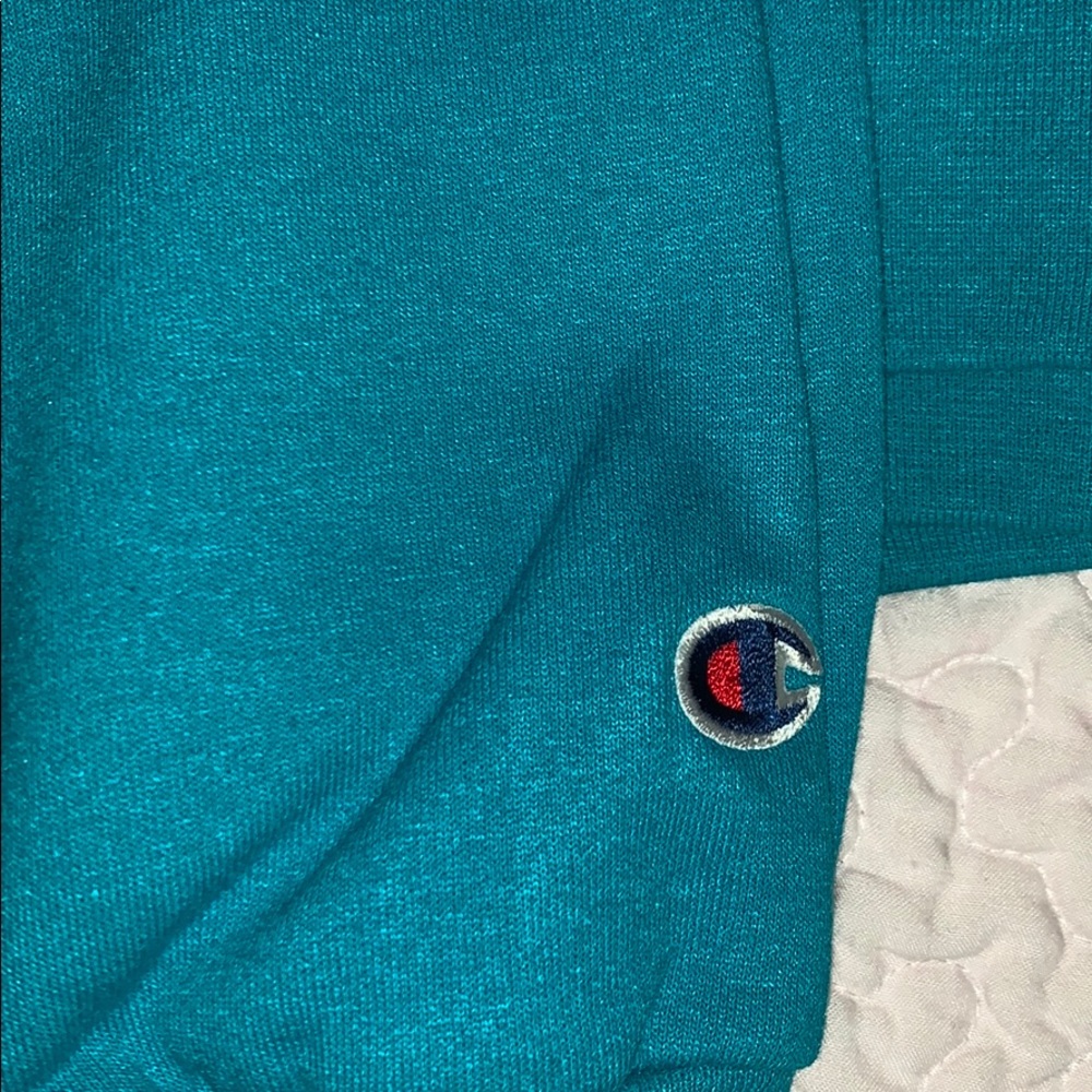 champion reverse weave hoodie